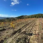 Quinta Da Penada - Vineyard & Winery - 3 Penzion