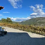 Quinta Da Penada - Vineyard & Winery - 3