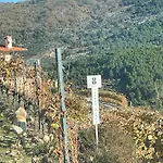 بيت ضيافة Quinta Da Penada - Vineyard & Winery - 3 تشافيس