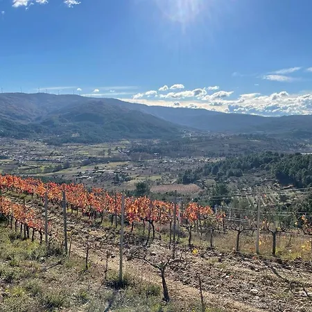 Quinta Da Penada - Vineyard & Winery - 3 דירה