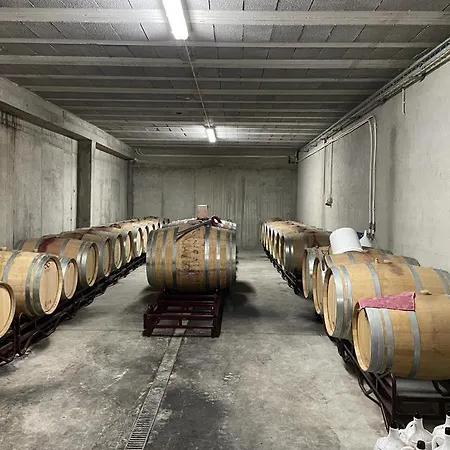 Quinta Da Penada - Vineyard & Winery - 3