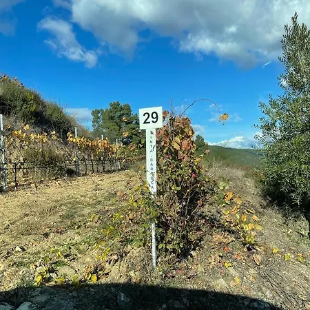 Quinta Da Penada - Vineyard & Winery - 3 דירה *