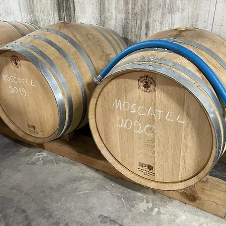 Quinta Da Penada - Vineyard&winery - 3 * Chaves