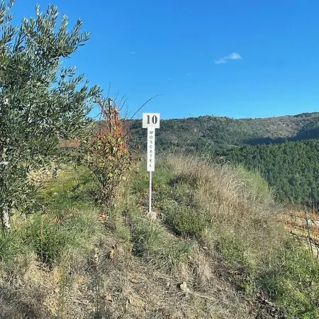 דירה Quinta Da Penada - Vineyard & Winery - 3