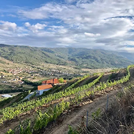 Quinta Da Penada - Vineyard & Winery - 3 4* Chaves