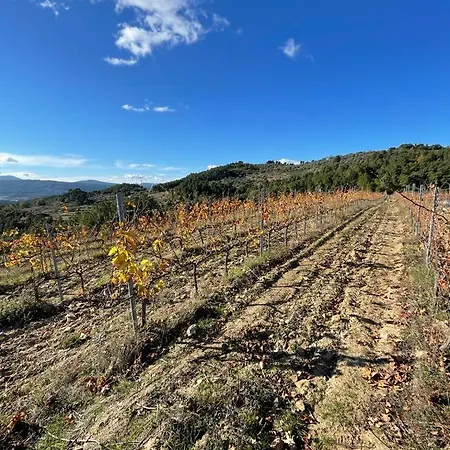 Quinta Da Penada - Vineyard & Winery - 3 דירה