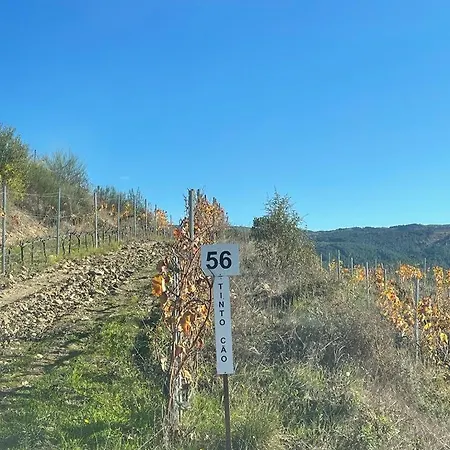 Quinta Da Penada - Vineyard & Winery - 3 4*