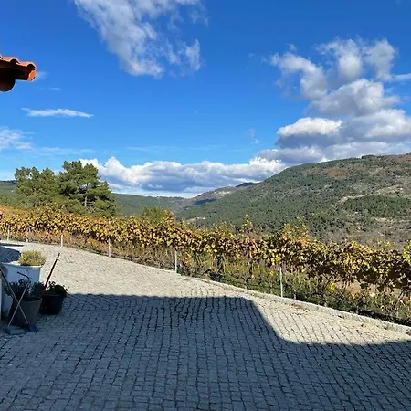 Quinta Da Penada - Vineyard & Winery - 3