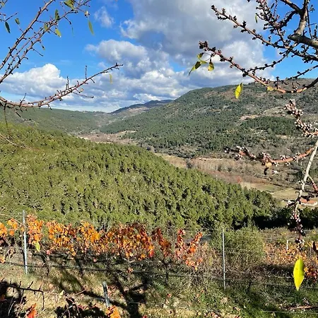 Apartamento Quinta Da Penada - Vineyard&winery - 3 *