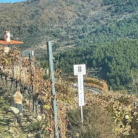 Pensjonat Quinta Da Penada - Vineyard & Winery - 3 Chaves