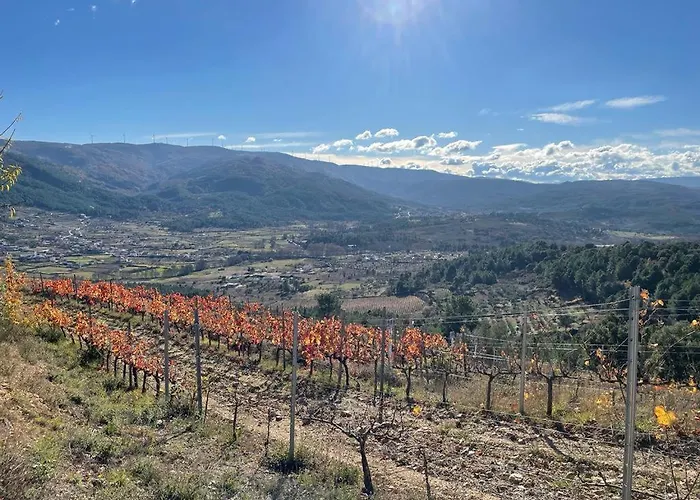 Quinta Da Penada - Vineyard & Winery - 3 Pensjonat