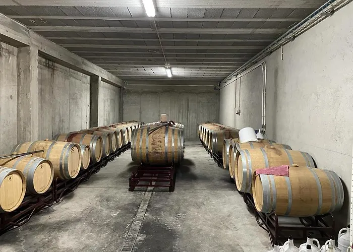 Quinta Da Penada - Vineyard & Winery - 3