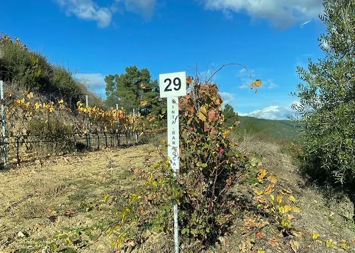 Quinta Da Penada - Vineyard & Winery - 3 Pensjonat 4*