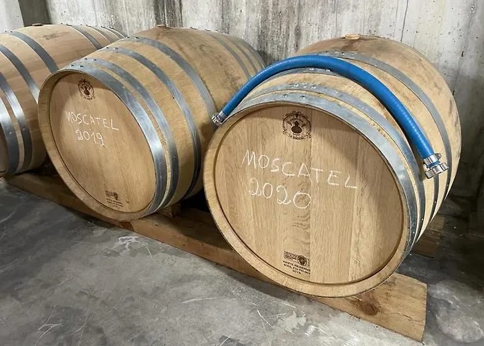 Quinta Da Penada - Vineyard & Winery - 3 4* تشافيس