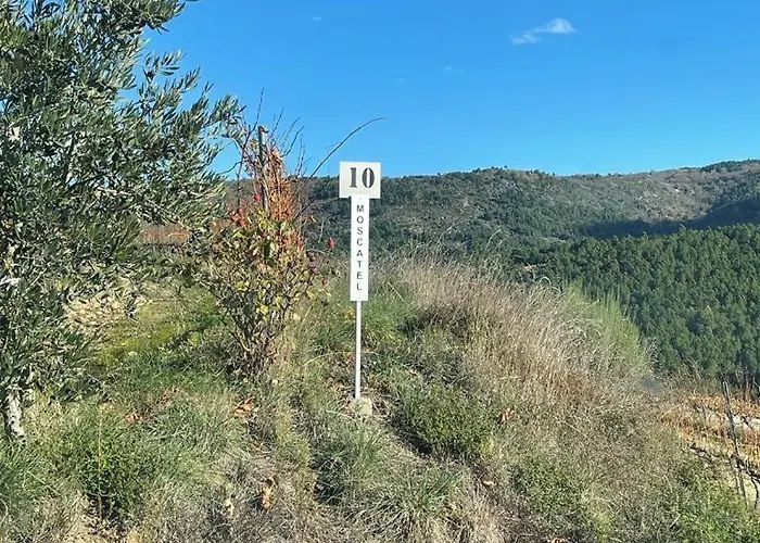 Pensjonat Quinta Da Penada - Vineyard & Winery - 3