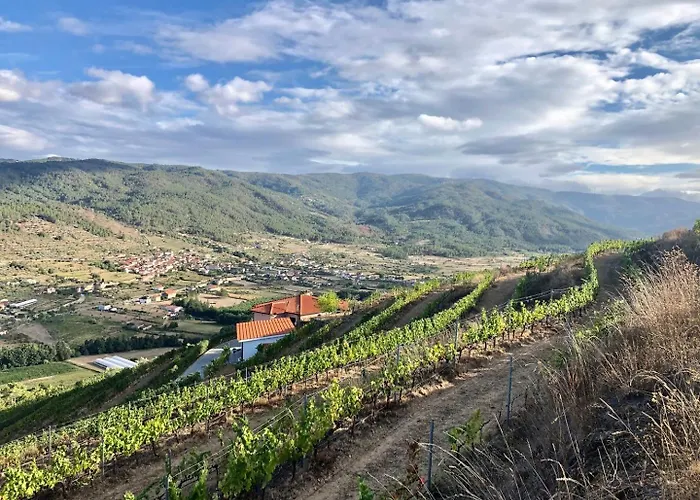 Quinta Da Penada - Vineyard & Winery - 3 4* تشافيس