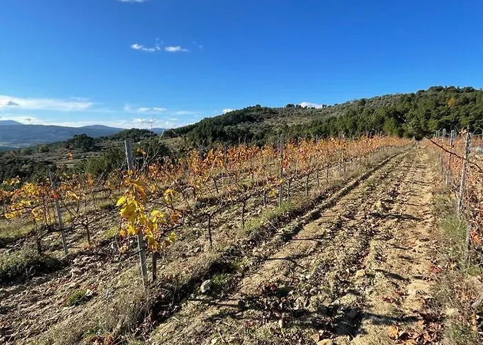 Quinta Da Penada - Vineyard & Winery - 3 بيت ضيافة