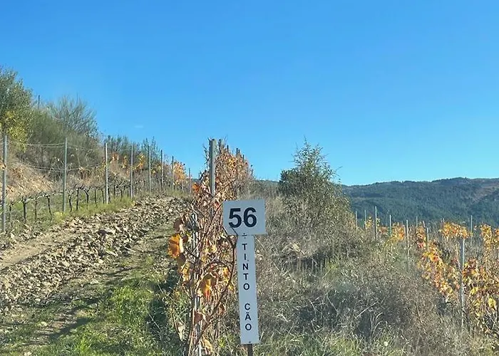 Quinta Da Penada - Vineyard & Winery - 3 4*