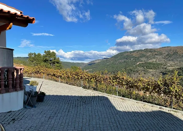 Quinta Da Penada - Vineyard & Winery - 3