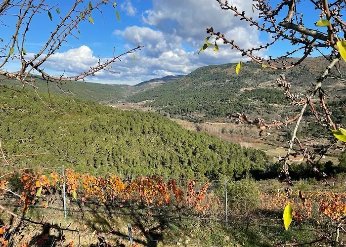 بيت ضيافة Quinta Da Penada - Vineyard & Winery - 3 4*